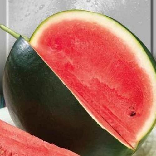 Арбуз "Северное Сияние" ТМ "Витас" 500г