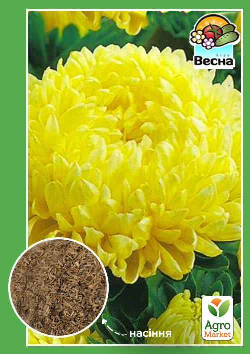 Айстра "Королівський розмір жовта" ТМ "Весна" 0.2г