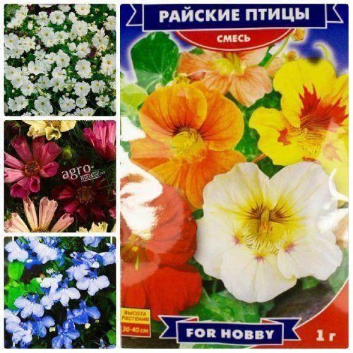 Комплект семян цветов "Ассорти" 5уп