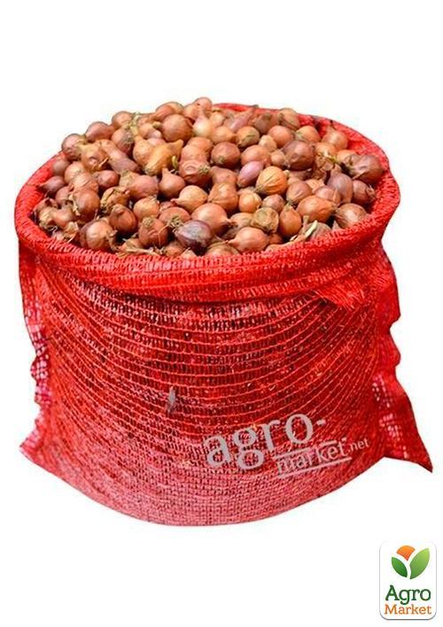 Лук-севок 1кг (арбажейка) красный "Веселка" (Украина) - фото 4