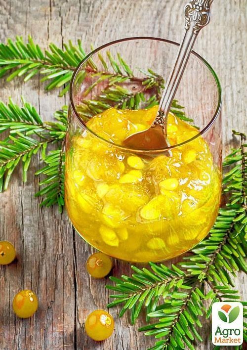 Калина "Жёлтая" - фото 2