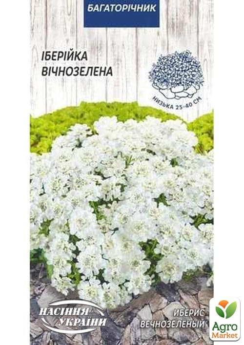Іберіс вічнозелений ТМ "Насіння України" 0.1г