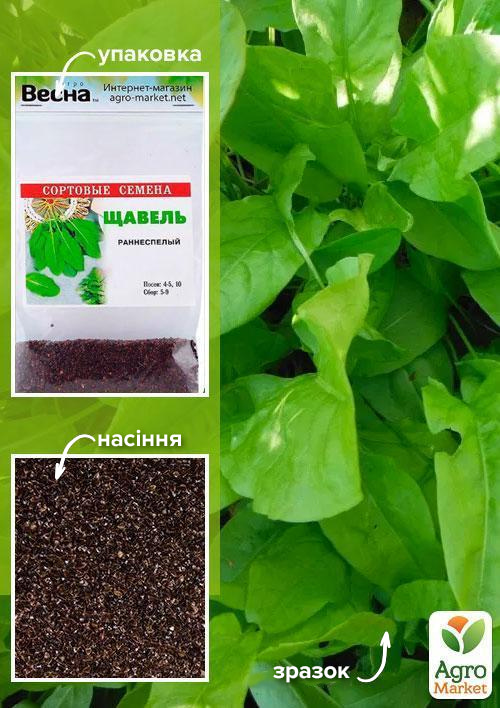 Щавель (Зипер) ТМ "Весна" 1г