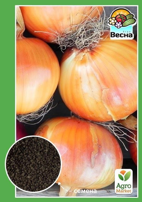 Цибуля "Сквирський" ТМ "Весна" 2г