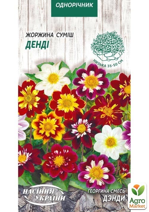 Георгина "Дэнди" ТМ "Семена Украины" 0.2г