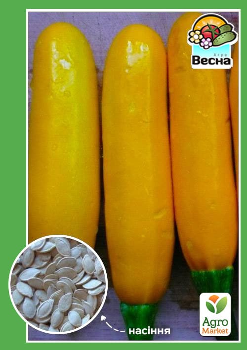 Кабачок-цуккини "Атена F1" ТМ "Весна" 2г