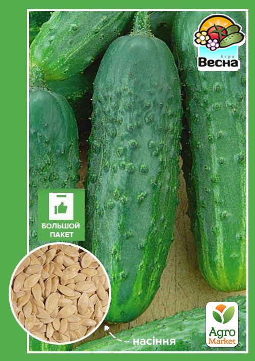 Огурец "Феникс плюс" (Большой пакет) ТМ "Весна" 2г