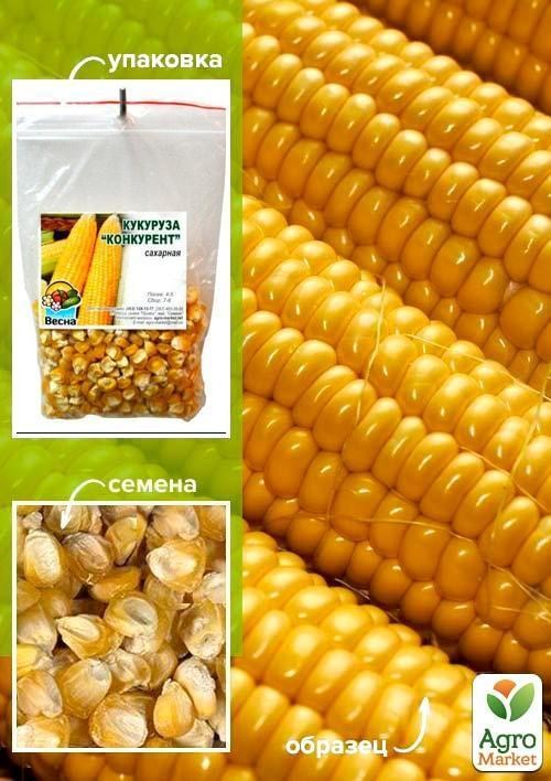 Кукурудза "Конкурент" ТМ "Весна" 100г