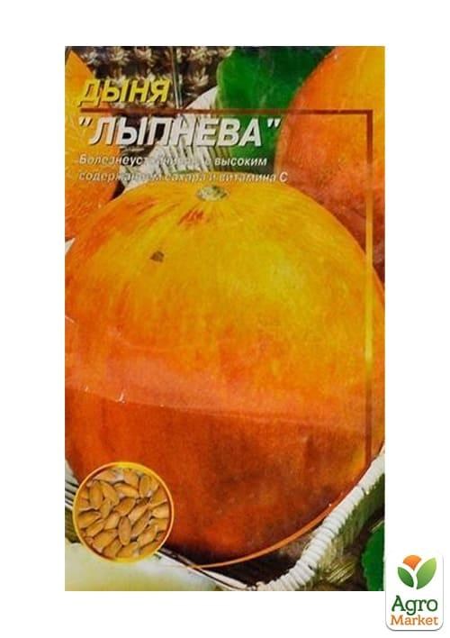 Диня "Липнева" ТМ "Весна" 1.5г - фото 2