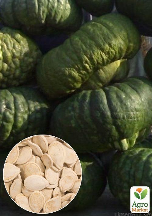 На развес Тыква декоративная "Морской пейзаж" ТМ "Весна" цена за 5г