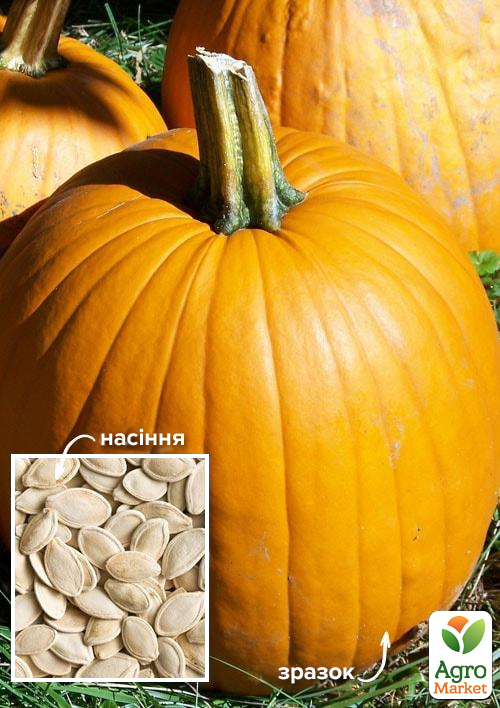 На развес Тыква "Улыбка" ТМ "Весна" цена за 10г