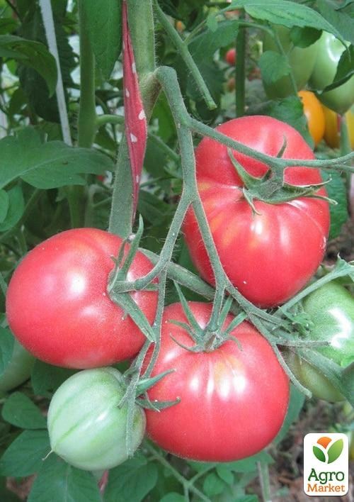 Томат "Мажор" ТМ "Vesna Select" 0.2г