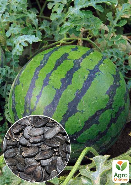 На развес Арбуз "Алая улыбка" ТМ "Весна" цена за 6г