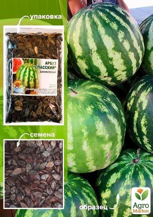 Арбуз "Спасский" ТМ "Весна" 100г