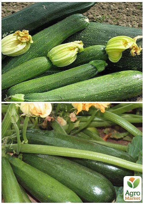 На развес Кабачок "Скворушка" ТМ "Весна" цена за 8г - фото 4