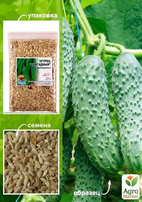 Огірок "Бригадний" ТМ "Весна" 100г