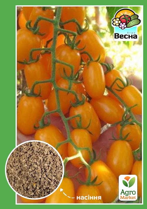 Томат "Фінік жовтий" (Новий пакет) ТМ "Весна" 0.1г