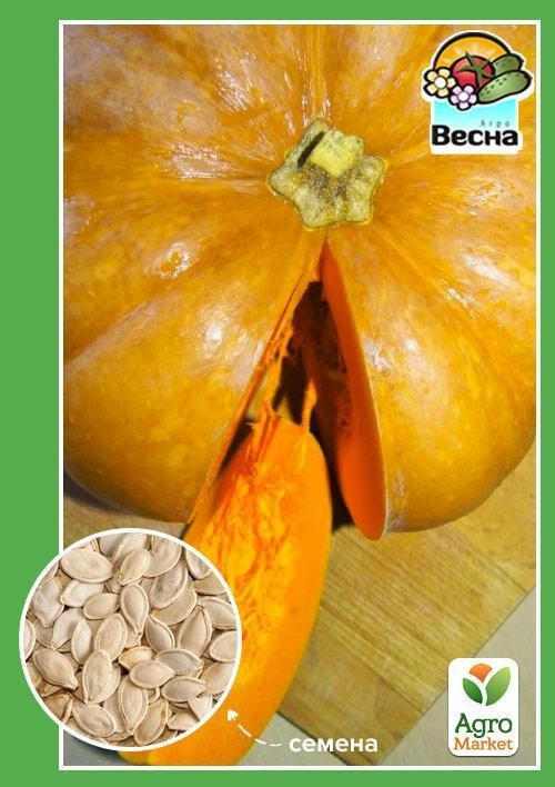 Тыква "Миндальная 35" ТМ "Весна" 2г