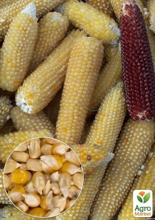 На развес Кукуруза "Поп-корн" ТМ "Весна" цена за 20г