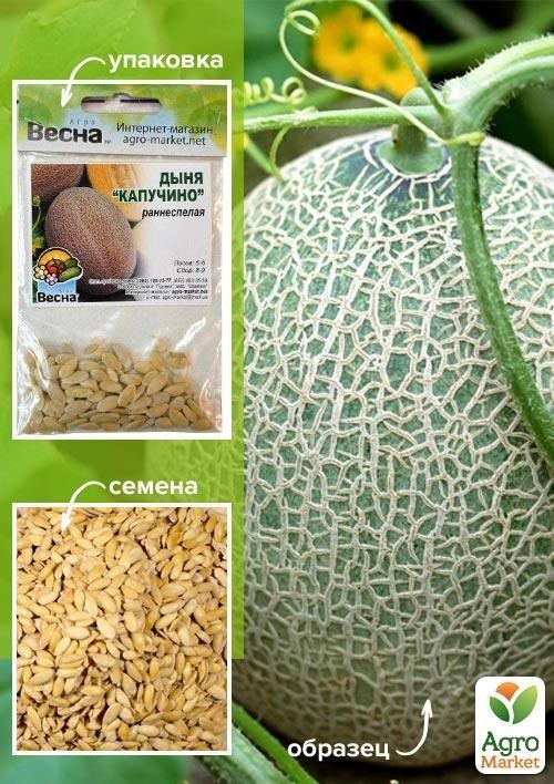 Диня "Капучіно" (Зипер) ТМ "Весна" 4г
