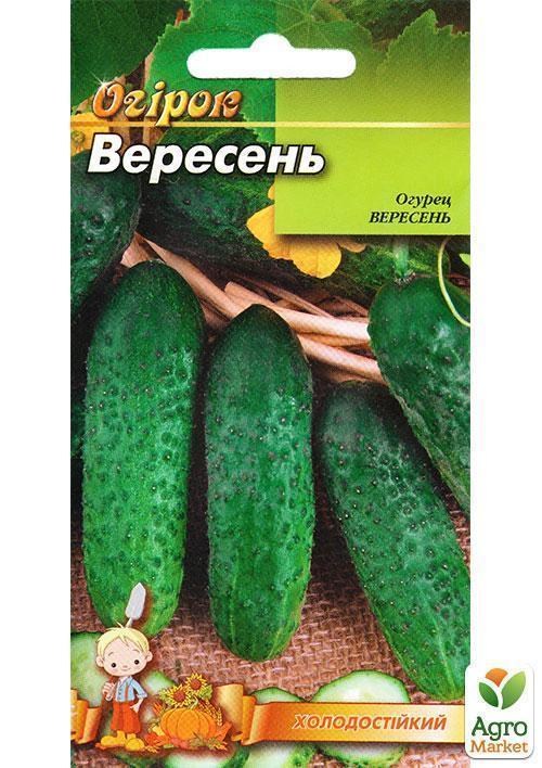Огірок "Вересень" ТМ "Весна" 0.5г - фото 2