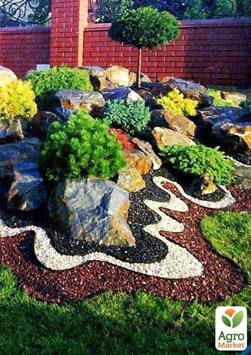 Комплект растений "Альпийская горка" (Alpine slide)