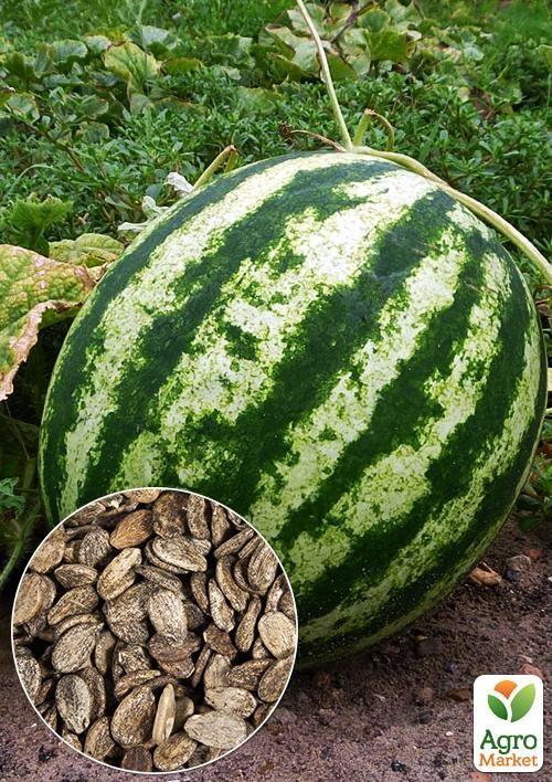 На развес Арбуз "Херсонский" ТМ "Весна" цена за 5г