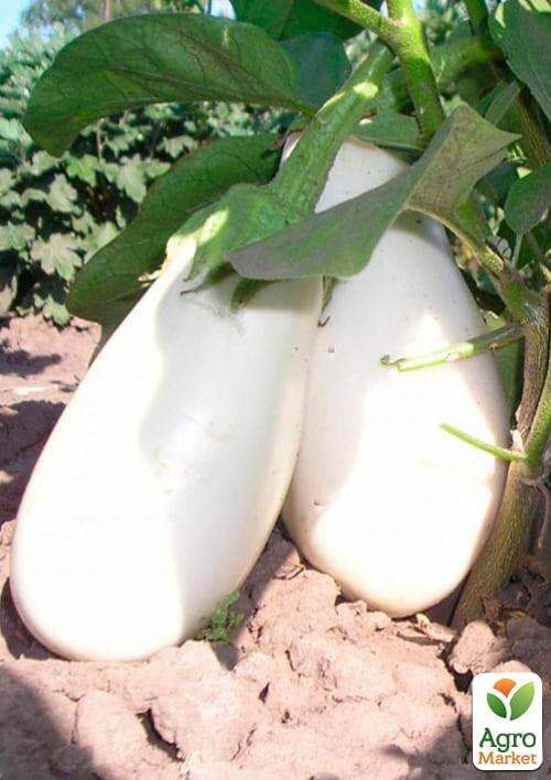 Баклажан "Белая лилия" ТМ "Vesna Select" 20 шт - фото 4