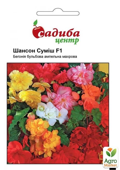 Бегония "Шансон F1 Смесь" ТМ "Садиба центр" 10шт