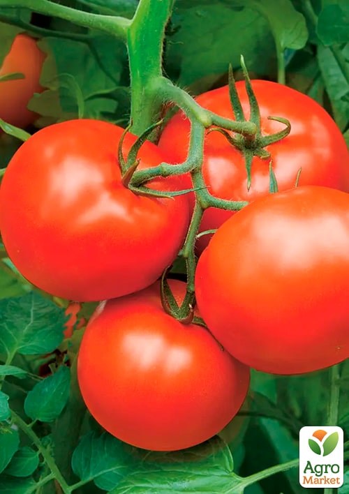 На развес Томат "Вителла" ТМ "Весна" цена за 2г - фото 2