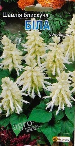 Сальвия блестящая "Белая" ТМ "Яскрава" 0.15г