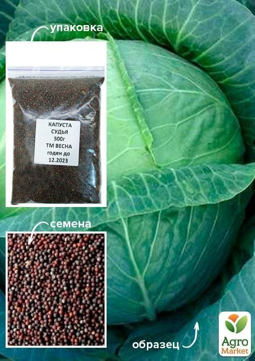 Капуста "Судья" ТМ "Весна" 500г