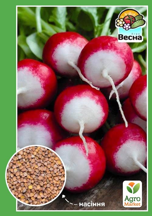 Редис "ЧБК" ТМ "Весна" 2г