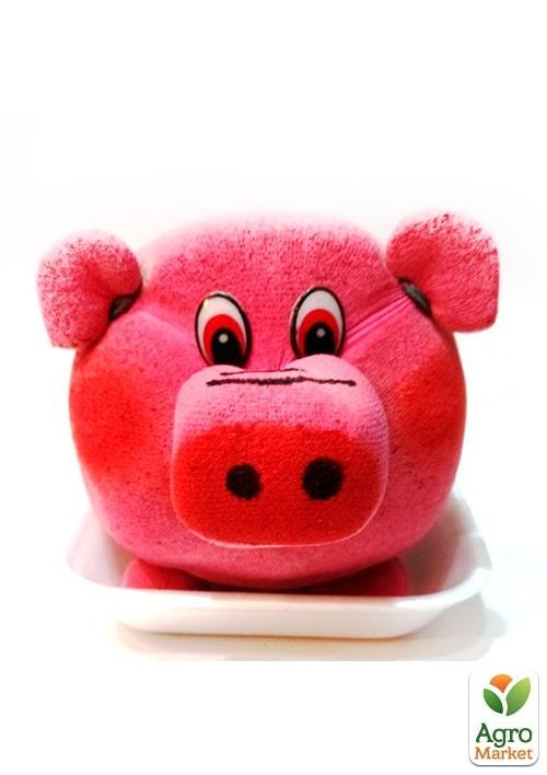 Набор для выращивания Травянчик Поросенок