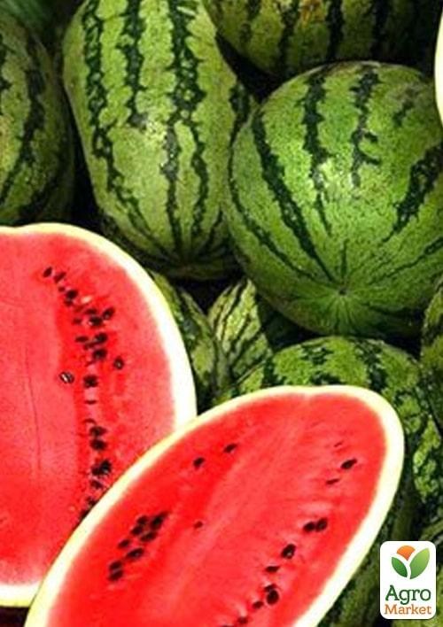 Кавун "Галактика" (у банці) ТМ "Весна" 100г