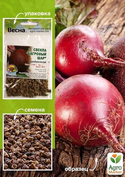 Свекла "Багровый шар" (Зипер) ТМ "Весна" 6г