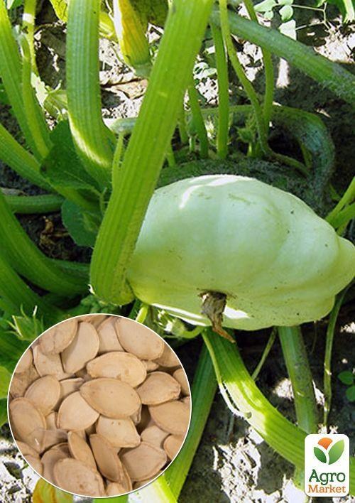 На развес Патиссон "Диск" ТМ "Весна" цена за 5г