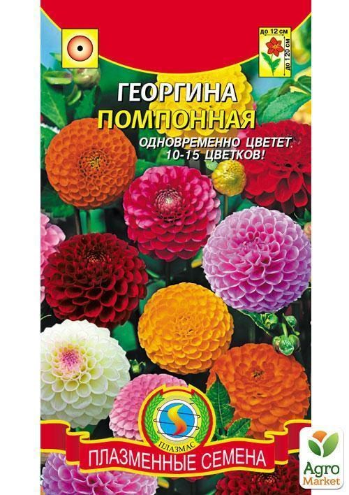 Георгина Помпонная (махровая смесь) ТМ "Плазменные семена" 12шт