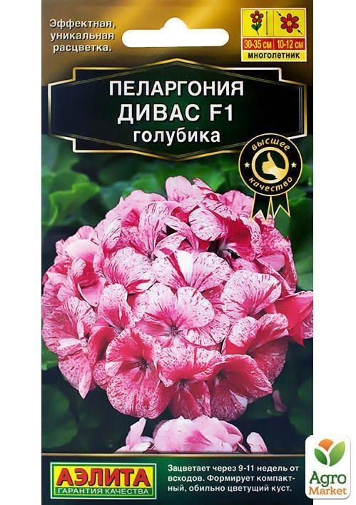Пеларгония "Дивас F1 голубика" ТМ "АЭЛИТА" 3шт