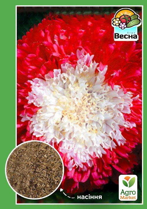 Астра "Зимняя вишня" ТМ "Весна" 0.2г