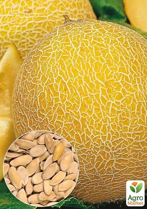 На развес Дыня "Титовка" ТМ "Весна" цена за 6г