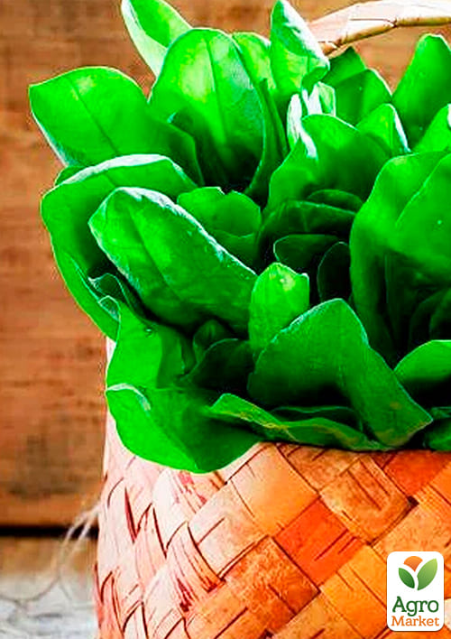 На развес Щавель "Толстолистный" ТМ "Весна" цена за 6г - фото 2