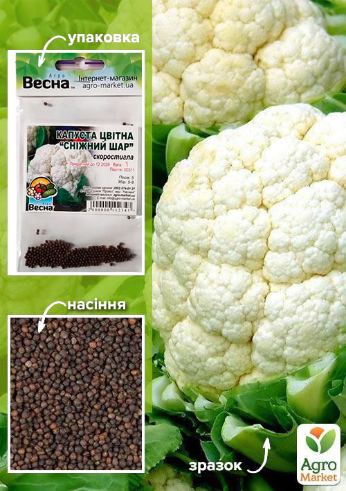 Капуста цветная "Снежный шар" (Зипер) ТМ "Весна" 1г