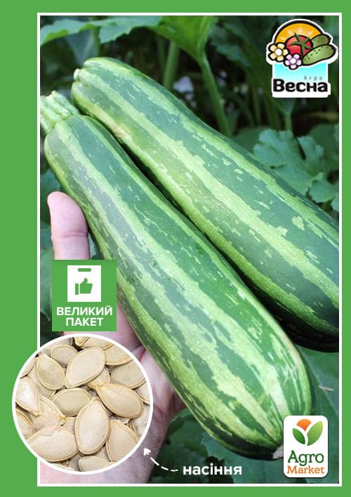Кабачок "Зебра" (Большой пакет) ТМ "Весна" 4г