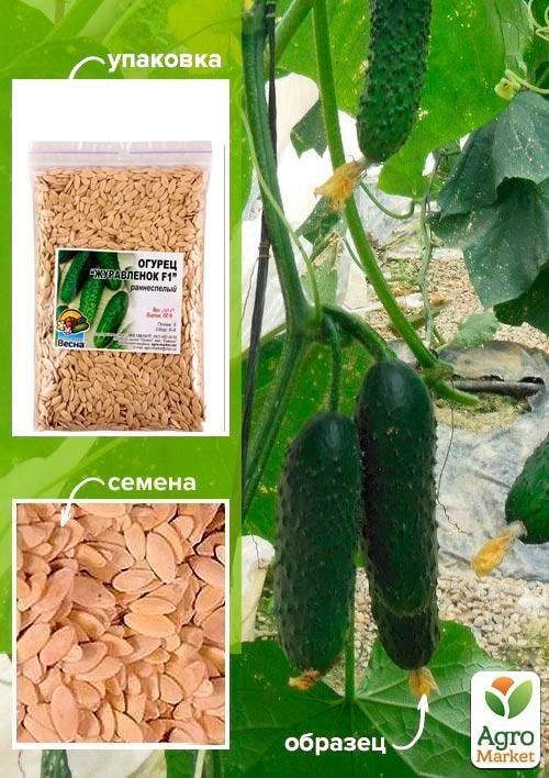Огурец "Журавленок" ТМ "Весна" 100г