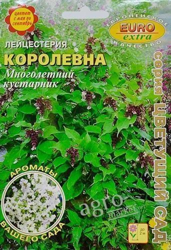 Лейцестерія "Королівна" ТМ "Аеліта" 0.004г