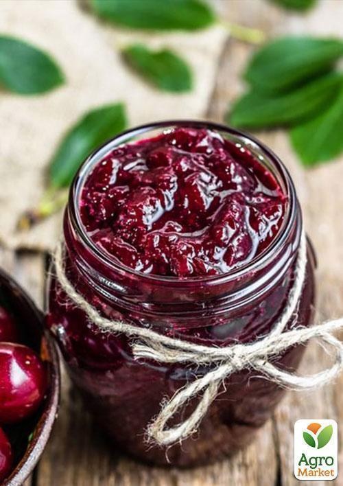 Вишня "Нефріс" - фото 3