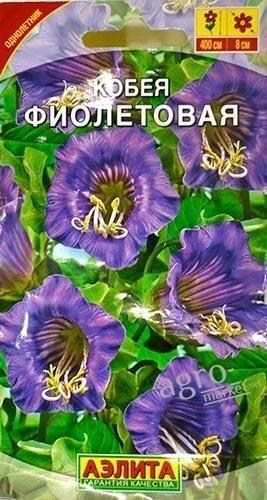 Кобея  "Фиолетовая" ТМ "Аэлита" 5шт