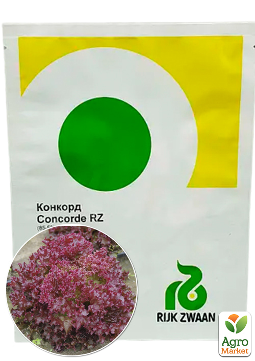 Салат листовой "Конкорд" ТМ "RIJK ZWAAN" 1000шт