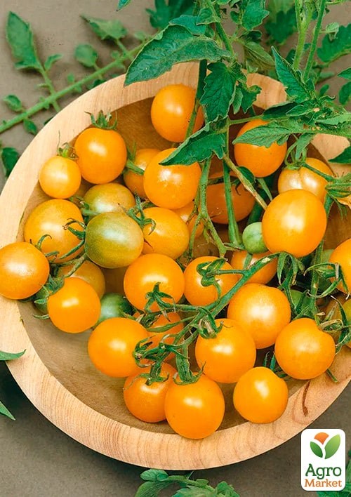 На развес Томат "Монетка" ТМ "Весна" цена за 1г - фото 2